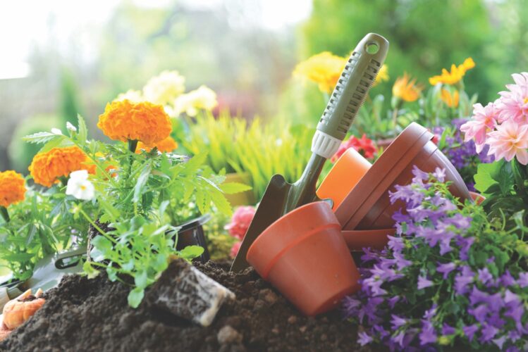 11th annual Fridays in the Garden workshops scheduled for February